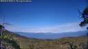 ./images/calvert/fitz-hugh-hecate/20250629/fitz-hugh-hecate20250629_182009M.jpg