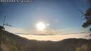 ./images/calvert/fitz-hugh-hecate/20250630/fitz-hugh-hecate20250630_064010M.jpg
