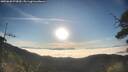 ./images/calvert/fitz-hugh-hecate/20250630/fitz-hugh-hecate20250630_070010M.jpg