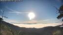 ./images/calvert/fitz-hugh-hecate/20250630/fitz-hugh-hecate20250630_071010M.jpg