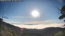 ./images/calvert/fitz-hugh-hecate/20250630/fitz-hugh-hecate20250630_073510M.jpg
