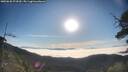 ./images/calvert/fitz-hugh-hecate/20250630/fitz-hugh-hecate20250630_074510M.jpg