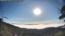 ./images/calvert/fitz-hugh-hecate/20250630/fitz-hugh-hecate20250630_075510M.jpg