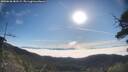 ./images/calvert/fitz-hugh-hecate/20250630/fitz-hugh-hecate20250630_082509M.jpg