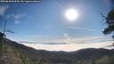 ./images/calvert/fitz-hugh-hecate/20250630/fitz-hugh-hecate20250630_083010M.jpg