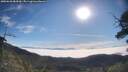 ./images/calvert/fitz-hugh-hecate/20250630/fitz-hugh-hecate20250630_084510M.jpg