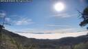 ./images/calvert/fitz-hugh-hecate/20250630/fitz-hugh-hecate20250630_090010M.jpg