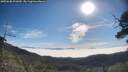 ./images/calvert/fitz-hugh-hecate/20250630/fitz-hugh-hecate20250630_091009M.jpg