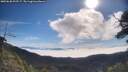 ./images/calvert/fitz-hugh-hecate/20250630/fitz-hugh-hecate20250630_093507M.jpg