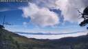 ./images/calvert/fitz-hugh-hecate/20250630/fitz-hugh-hecate20250630_102510M.jpg