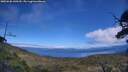 ./images/calvert/fitz-hugh-hecate/20250630/fitz-hugh-hecate20250630_140510M.jpg