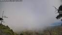 ./images/calvert/fitz-hugh-hecate/20250630/fitz-hugh-hecate20250630_143510M.jpg