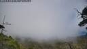 ./images/calvert/fitz-hugh-hecate/20250630/fitz-hugh-hecate20250630_144010M.jpg