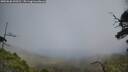 ./images/calvert/fitz-hugh-hecate/20250630/fitz-hugh-hecate20250630_144511M.jpg