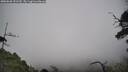 ./images/calvert/fitz-hugh-hecate/20250630/fitz-hugh-hecate20250630_151510M.jpg