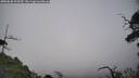 ./images/calvert/fitz-hugh-hecate/20250630/fitz-hugh-hecate20250630_153510M.jpg