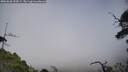 ./images/calvert/fitz-hugh-hecate/20250630/fitz-hugh-hecate20250630_154509M.jpg