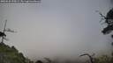 ./images/calvert/fitz-hugh-hecate/20250630/fitz-hugh-hecate20250630_155009M.jpg