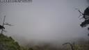 ./images/calvert/fitz-hugh-hecate/20250630/fitz-hugh-hecate20250630_164510M.jpg