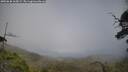 ./images/calvert/fitz-hugh-hecate/20250630/fitz-hugh-hecate20250630_165009M.jpg