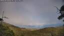 ./images/calvert/fitz-hugh-hecate/20250630/fitz-hugh-hecate20250630_165510M.jpg