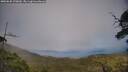 ./images/calvert/fitz-hugh-hecate/20250630/fitz-hugh-hecate20250630_170010M.jpg