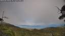 ./images/calvert/fitz-hugh-hecate/20250630/fitz-hugh-hecate20250630_170510M.jpg