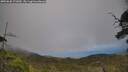 ./images/calvert/fitz-hugh-hecate/20250630/fitz-hugh-hecate20250630_171010M.jpg