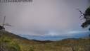 ./images/calvert/fitz-hugh-hecate/20250630/fitz-hugh-hecate20250630_171509M.jpg