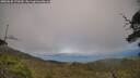 ./images/calvert/fitz-hugh-hecate/20250630/fitz-hugh-hecate20250630_172510M.jpg