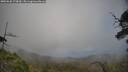 ./images/calvert/fitz-hugh-hecate/20250630/fitz-hugh-hecate20250630_173010M.jpg