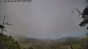 ./images/calvert/fitz-hugh-hecate/20250630/fitz-hugh-hecate20250630_173510M.jpg