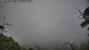 ./images/calvert/fitz-hugh-hecate/20250630/fitz-hugh-hecate20250630_174009M.jpg