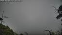 ./images/calvert/fitz-hugh-hecate/20250630/fitz-hugh-hecate20250630_175509M.jpg