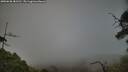 ./images/calvert/fitz-hugh-hecate/20250630/fitz-hugh-hecate20250630_181510M.jpg