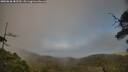 ./images/calvert/fitz-hugh-hecate/20250630/fitz-hugh-hecate20250630_182509M.jpg