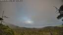 ./images/calvert/fitz-hugh-hecate/20250630/fitz-hugh-hecate20250630_183011M.jpg