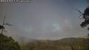 ./images/calvert/fitz-hugh-hecate/20250630/fitz-hugh-hecate20250630_183509M.jpg