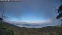 ./images/calvert/fitz-hugh-hecate/20250630/fitz-hugh-hecate20250630_184010M.jpg