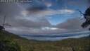 ./images/calvert/fitz-hugh-hecate/20250630/fitz-hugh-hecate20250630_195507M.jpg