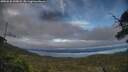 ./images/calvert/fitz-hugh-hecate/20250630/fitz-hugh-hecate20250630_200008M.jpg