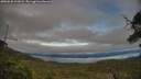 ./images/calvert/fitz-hugh-hecate/20250630/fitz-hugh-hecate20250630_201008M.jpg