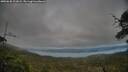 ./images/calvert/fitz-hugh-hecate/20250630/fitz-hugh-hecate20250630_203008M.jpg