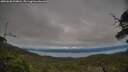 ./images/calvert/fitz-hugh-hecate/20250630/fitz-hugh-hecate20250630_204008M.jpg