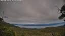 ./images/calvert/fitz-hugh-hecate/20250630/fitz-hugh-hecate20250630_204507M.jpg
