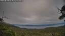 ./images/calvert/fitz-hugh-hecate/20250630/fitz-hugh-hecate20250630_205009M.jpg