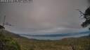 ./images/calvert/fitz-hugh-hecate/20250630/fitz-hugh-hecate20250630_210009M.jpg