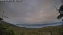 ./images/calvert/fitz-hugh-hecate/20250630/fitz-hugh-hecate20250630_210507M.jpg
