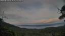 ./images/calvert/fitz-hugh-hecate/20250630/fitz-hugh-hecate20250630_212008M.jpg