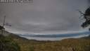 ./images/calvert/fitz-hugh-hecate/20250630/fitz-hugh-hecate20250630_220008M.jpg